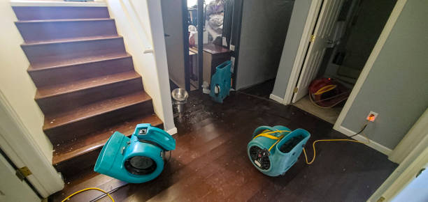 Best Local water damage restoration  in White Settlement, TX