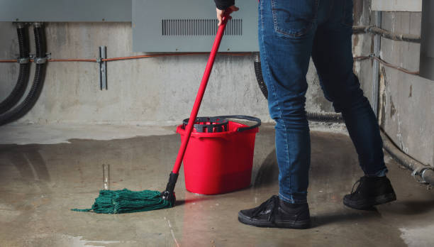 Best Flooded house restoration  in White Settlement, TX