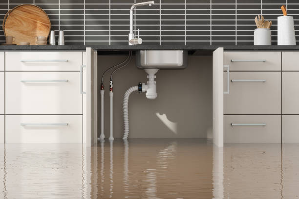 Best Water damage cleanup near me  in White Settlement, TX