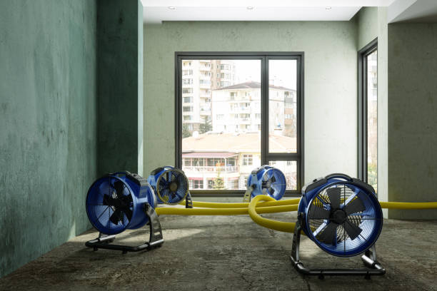Best Sewage cleanup and water damage restoration  in White Settlement, TX