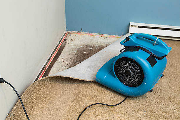 Best Water damage contractors near me  in White Settlement, TX